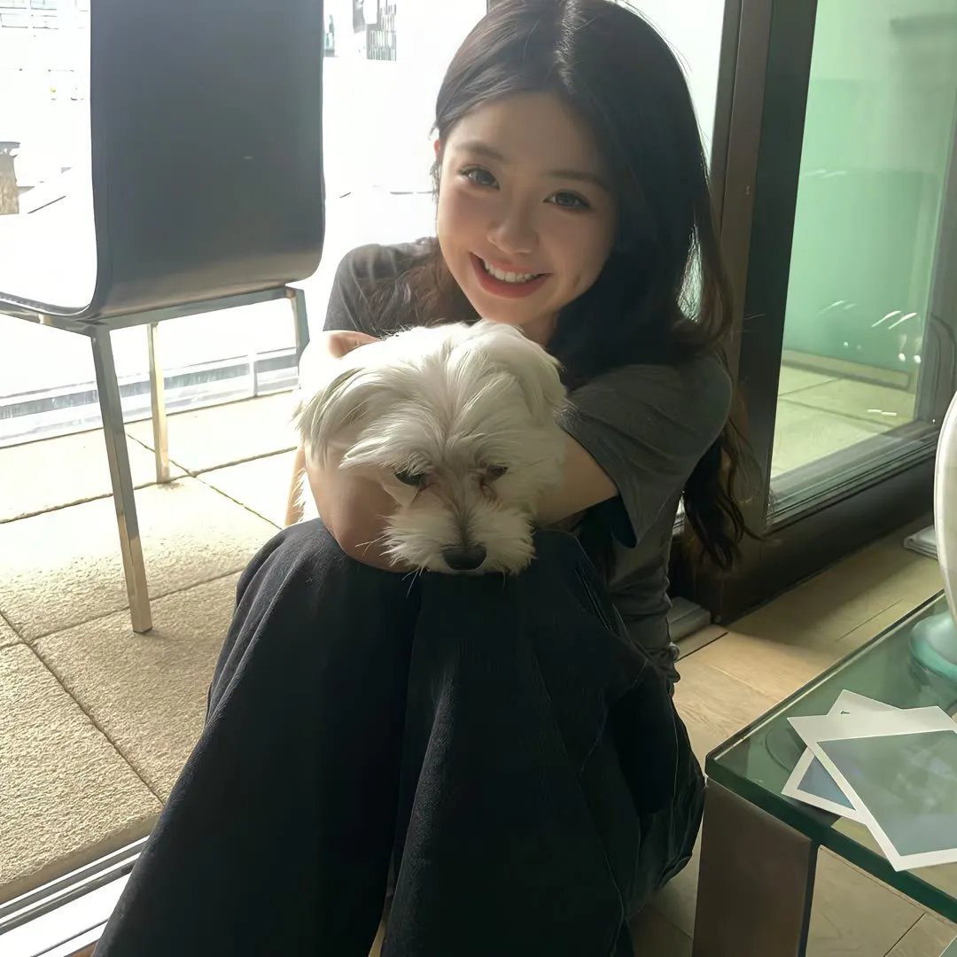 完美的陌生人