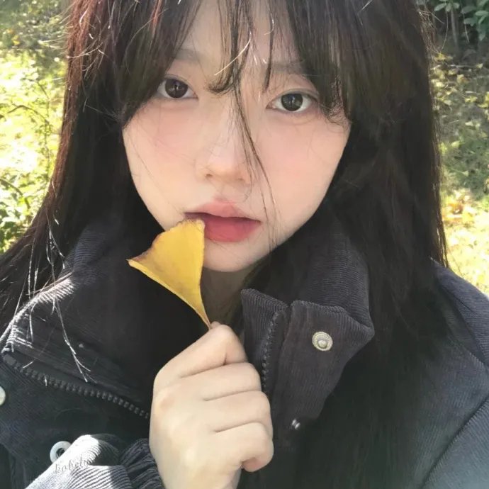 大秦赋